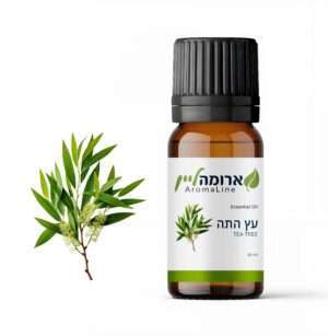 שמן עץ התה