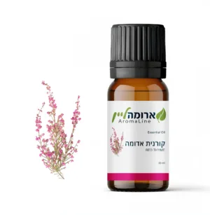 שמן קורנית אדומה
